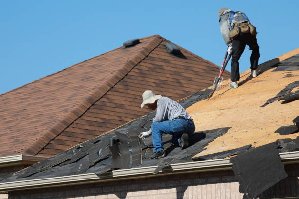 Best Roof Maintenance  in Corunna, MI