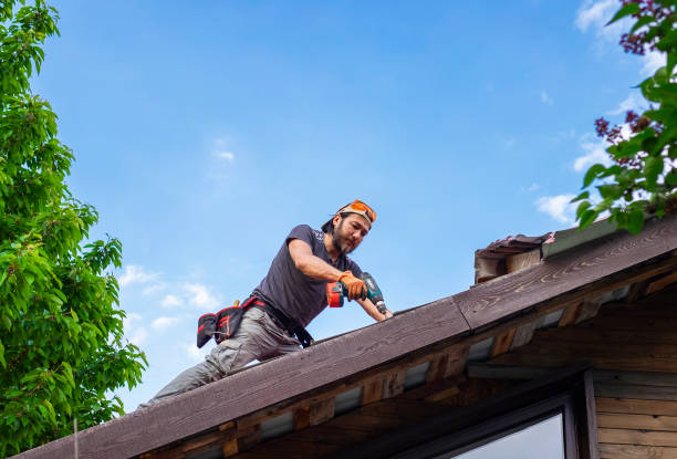 Best Roof Leak Repair  in Corunna, MI