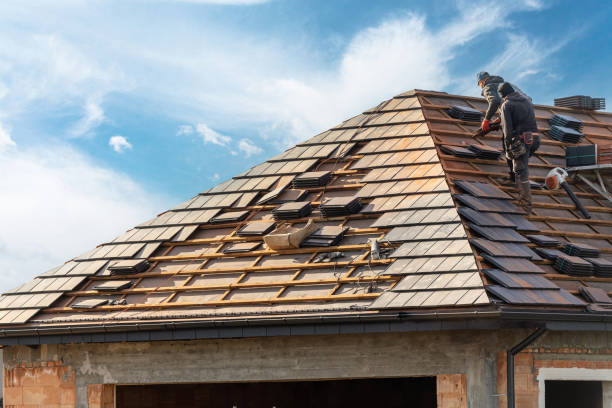 Best Roof Insulation Installation  in Corunna, MI