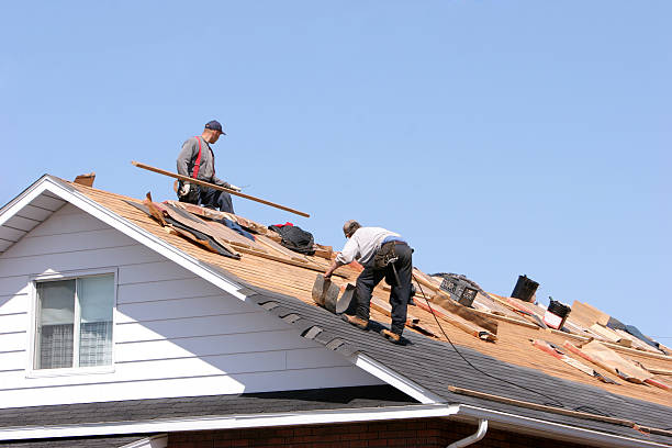 Best Roof Ventilation Installation  in Corunna, MI